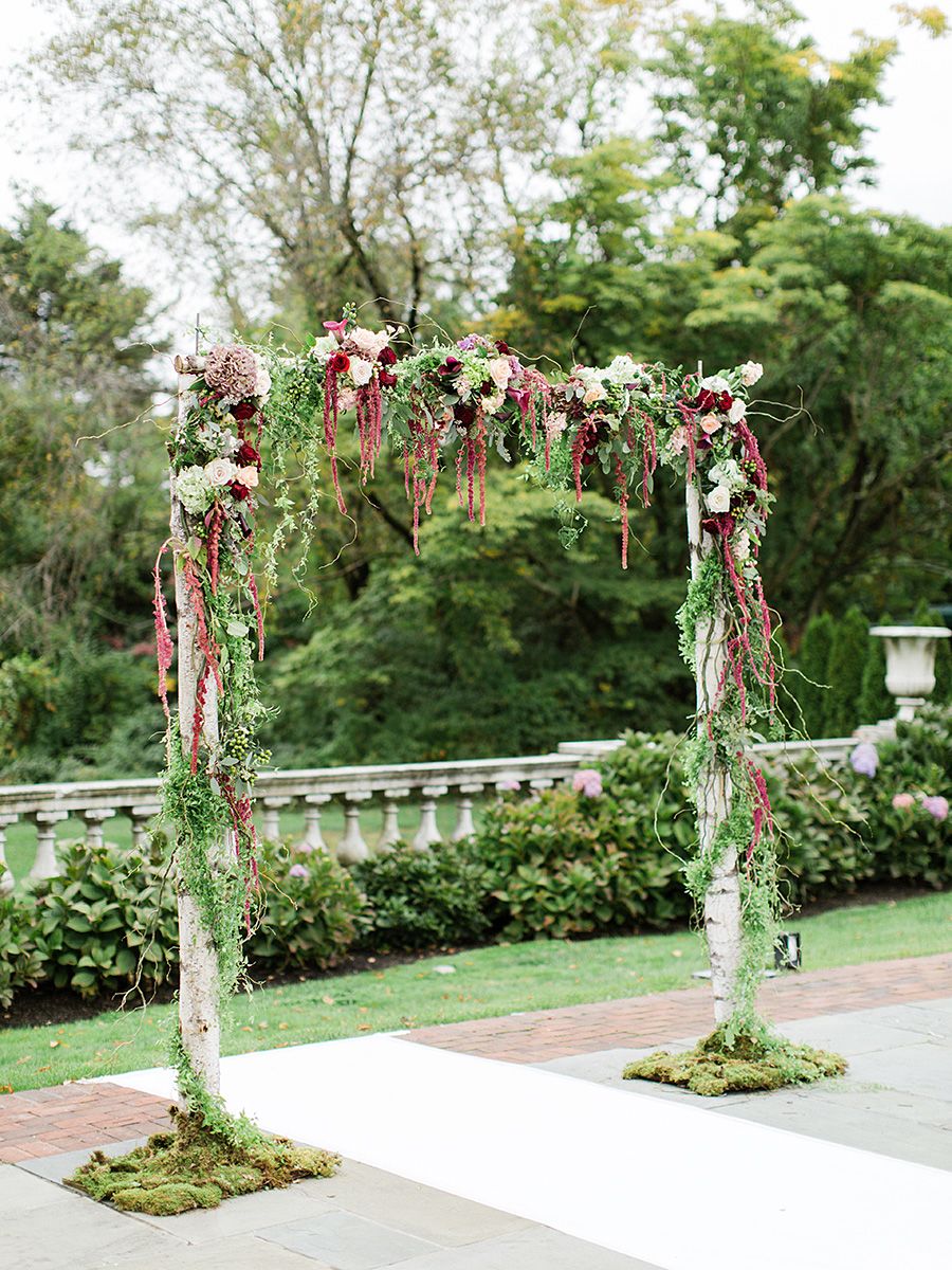 Birch wood arch